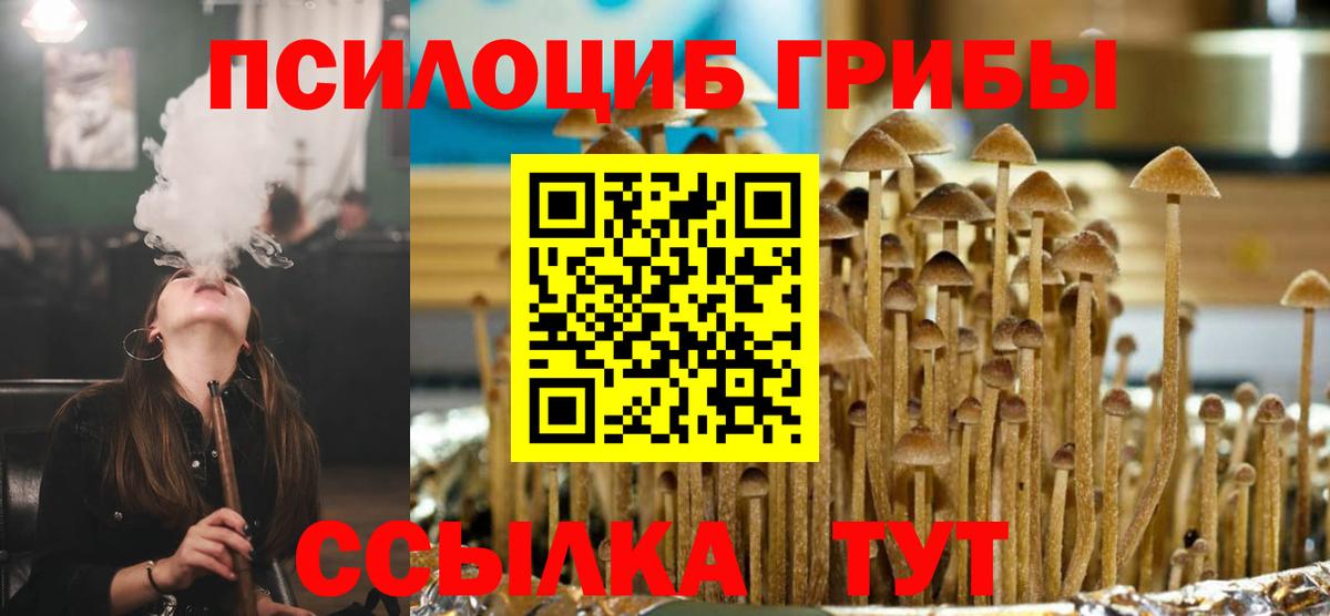 Галлюциногенные грибы Cubensis Мурино